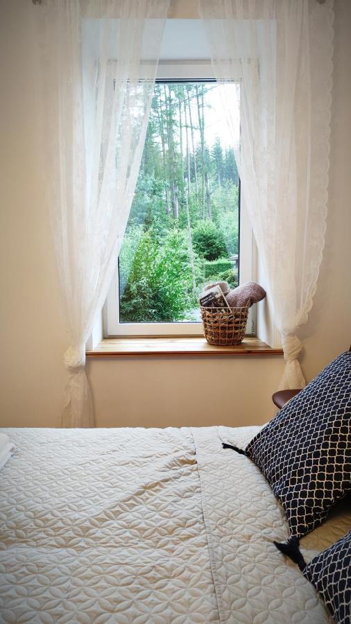 B&D Apartament Chelmiec Appartement Wałbrzych Buitenkant foto